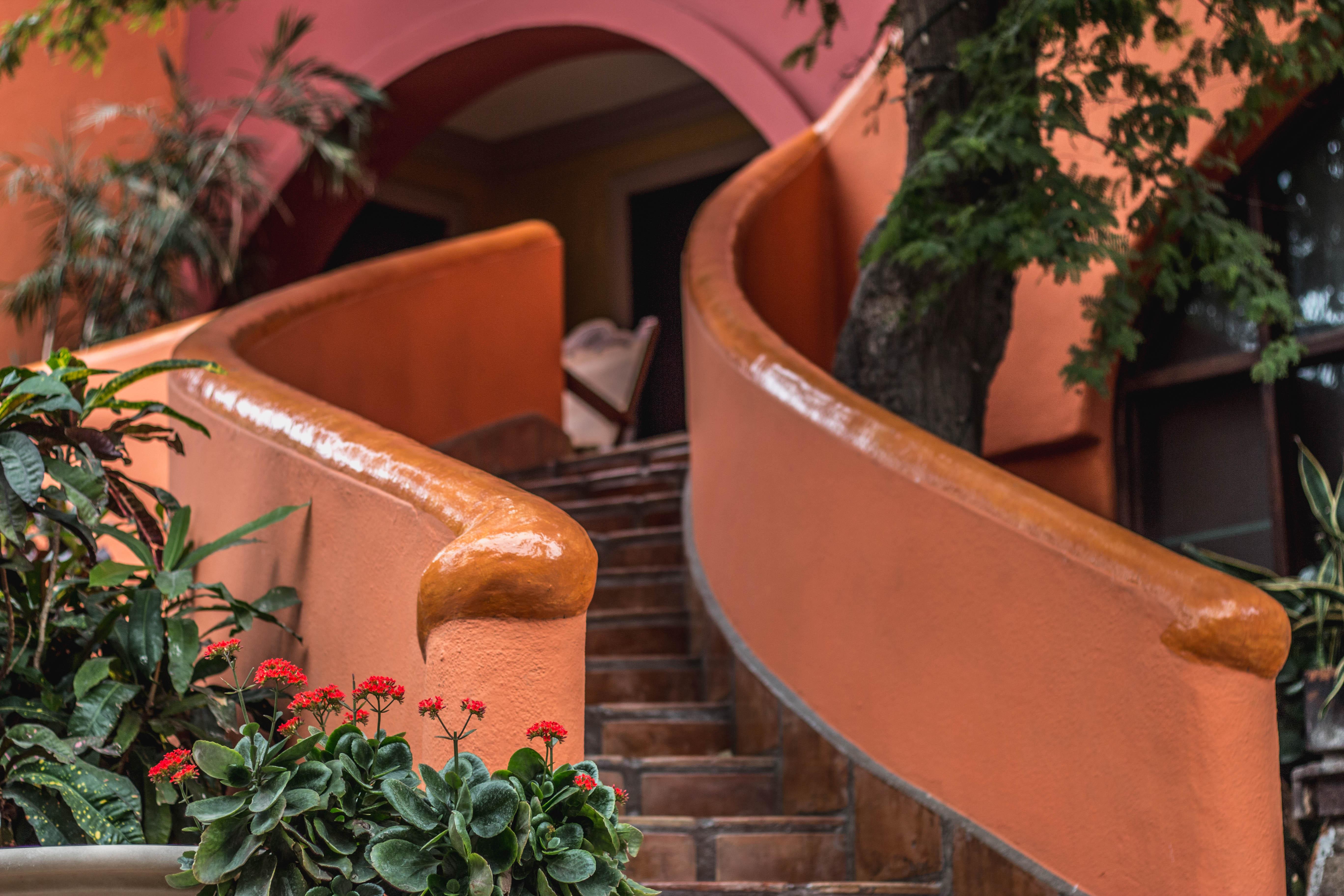 Collection O Casa Bella Hotel Boutique, Cabo San Lucas Esterno foto