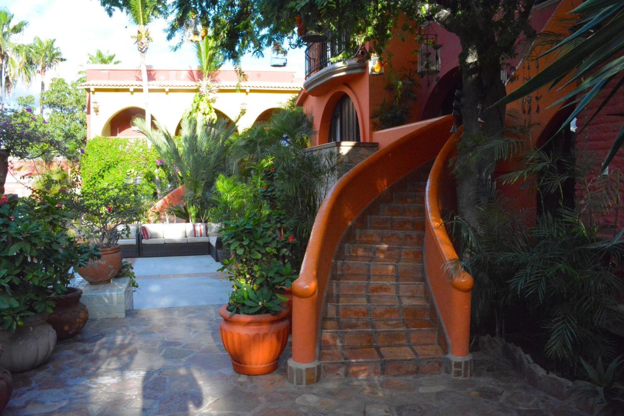 Collection O Casa Bella Hotel Boutique, Cabo San Lucas Esterno foto